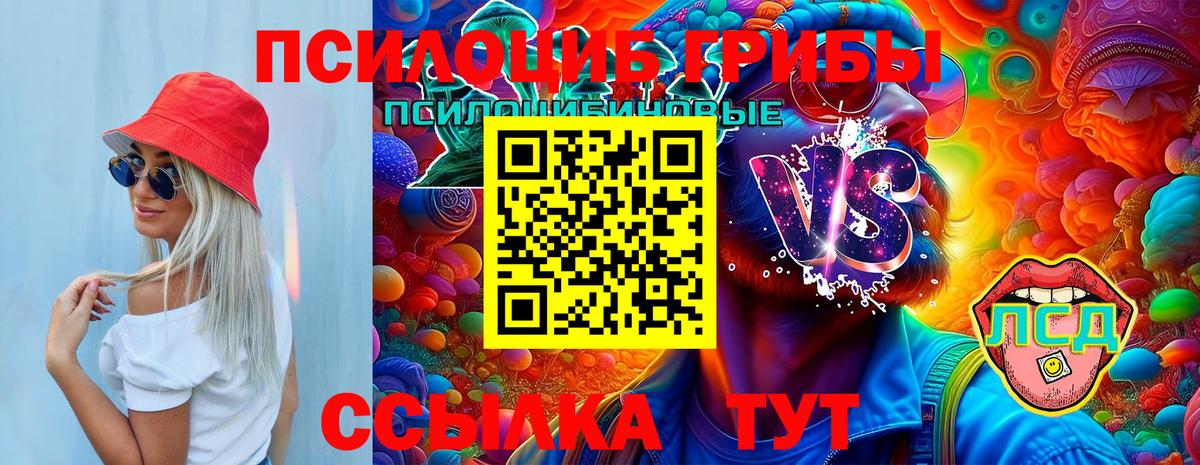 Галлюциногенные грибы Psilocybine cubensis  Вход с VPN  Ноябрьск 